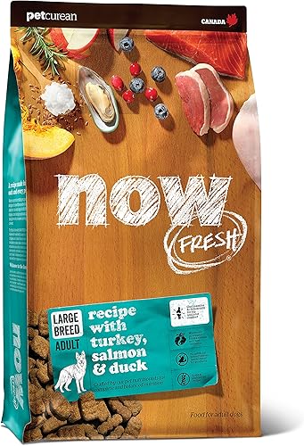 GO! SOLUTIONS Now Fresh - Alimento para perros sin granos, 25 libras, receta de alimento para perros adultos de raza grande, dieta saludable con