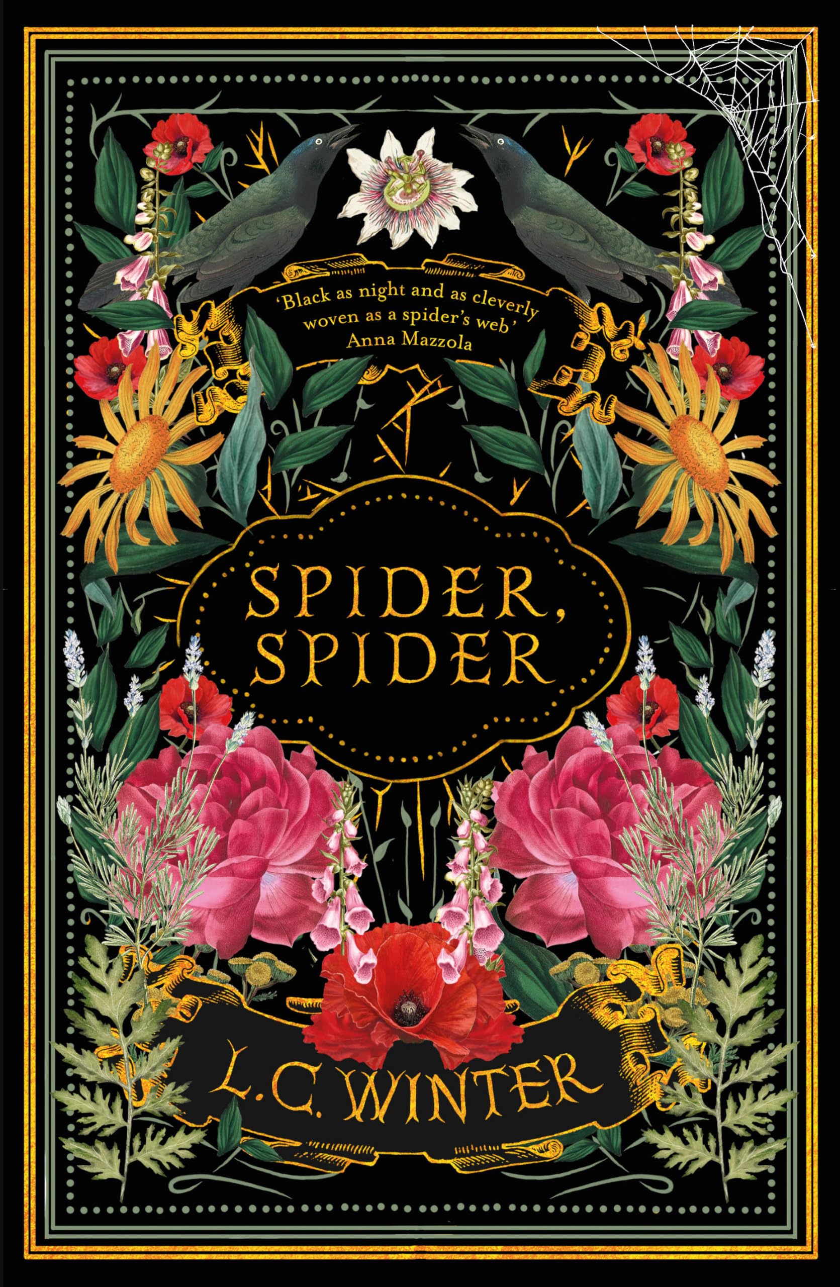Spider Spider by L. C. Winter HARDBACK 9780715655825