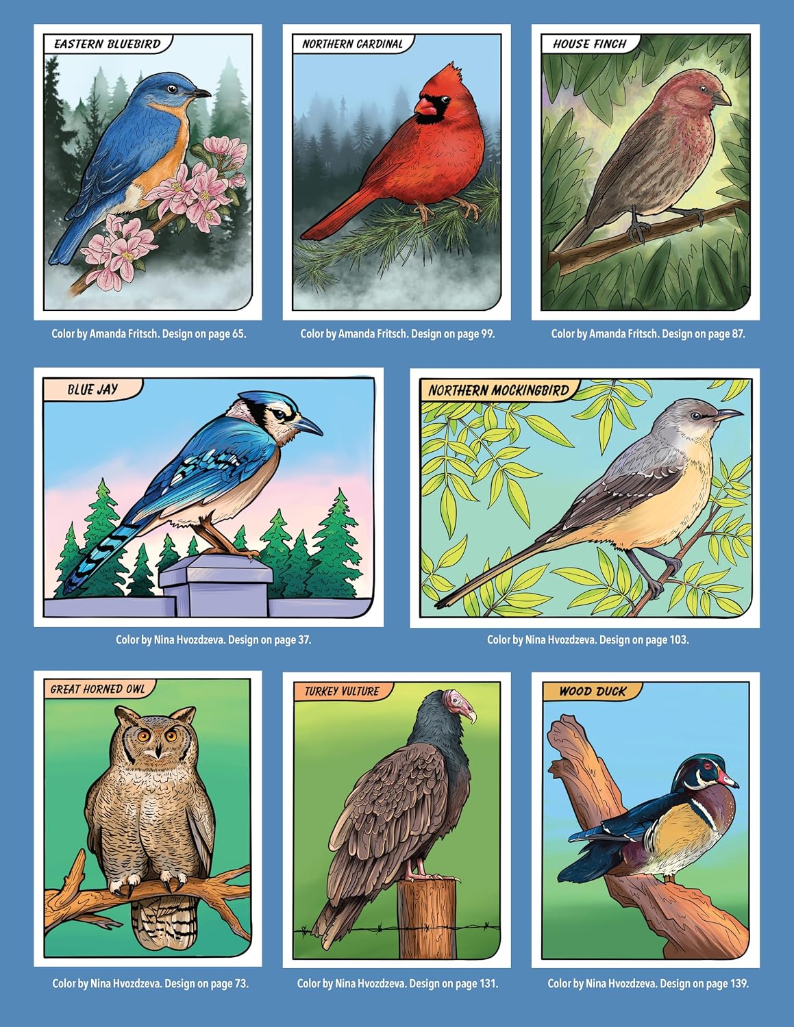 Great Coloring Book of North American Birds: 144 Info-Packed Pages to Color & Learn (Design Originals) Realistic Wild Bird Designs and Fun Facts on Perforated Pages - Songbirds, Waterfowl, and More