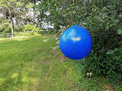 Miniatura 3 de Deer Fly Ball Starter Kit - Matamoscas e insectos sin olor, ecológico, sin pesticidas ni electricidad, seguro para niños y mascotas