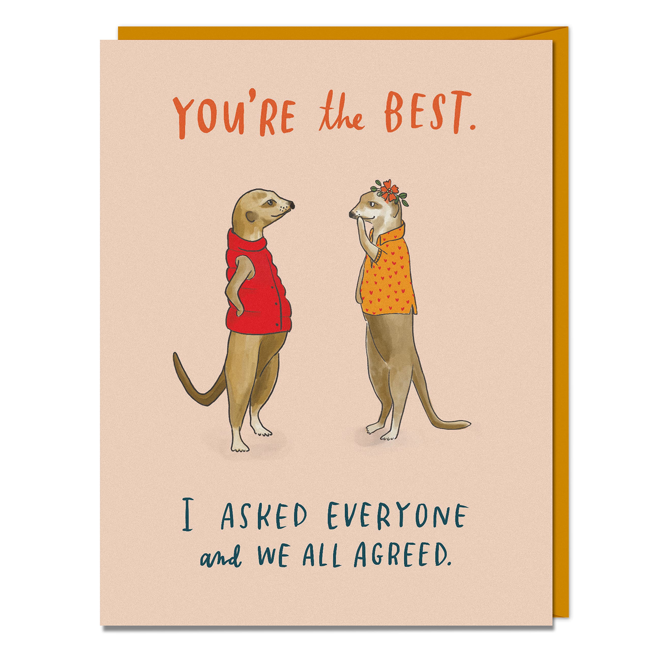 Em & Friends Ready for Anything Cards Lot de 8 cartes de vœux assorties pour toute l'année avec enveloppes