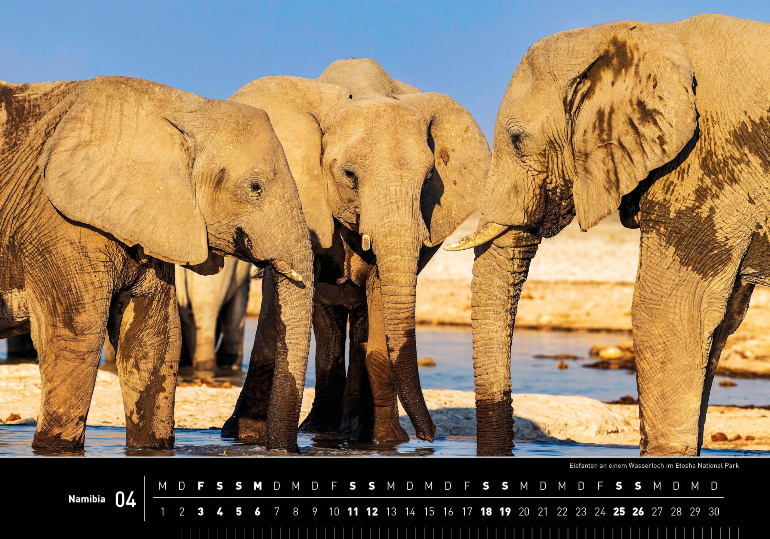 Namibia Premiumkalender 2026 (360° Premiumkalender 2026: Format 50 x 35 cm)