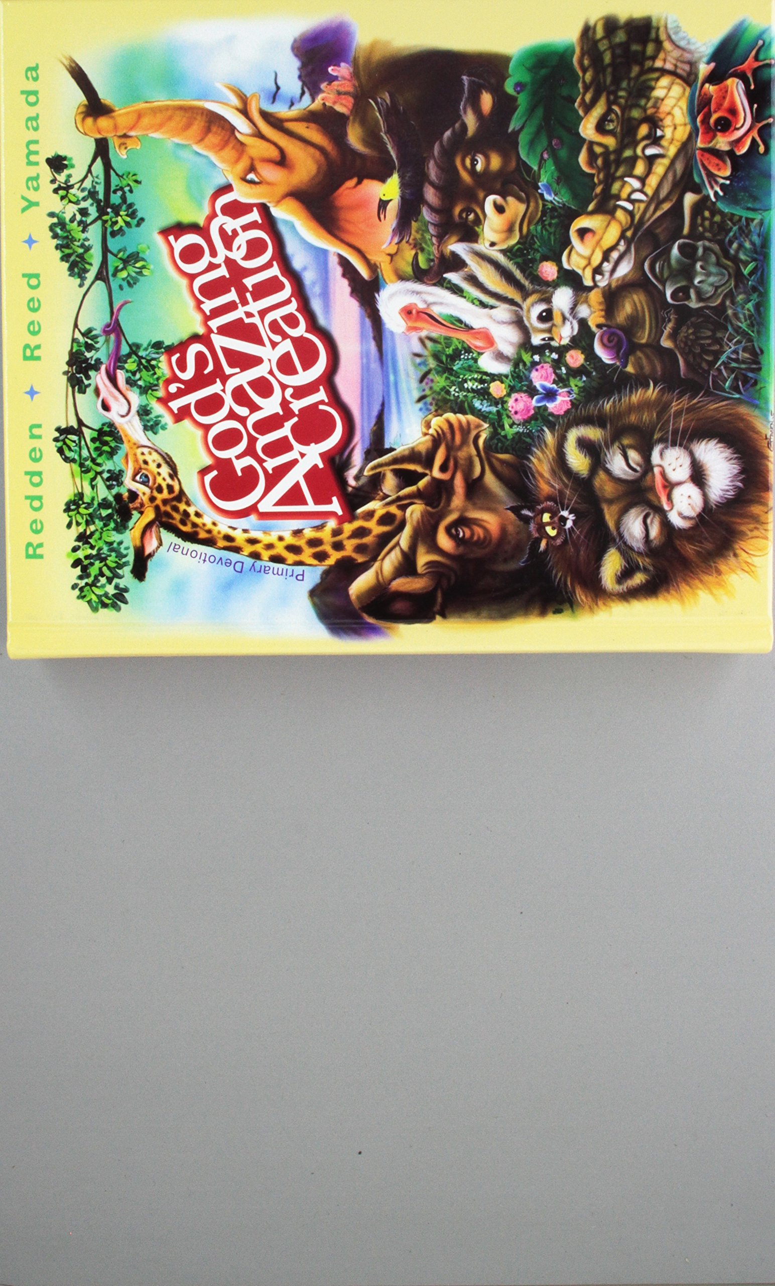 Buy God's Amazing Creation (Review Kids) — BookShops.in