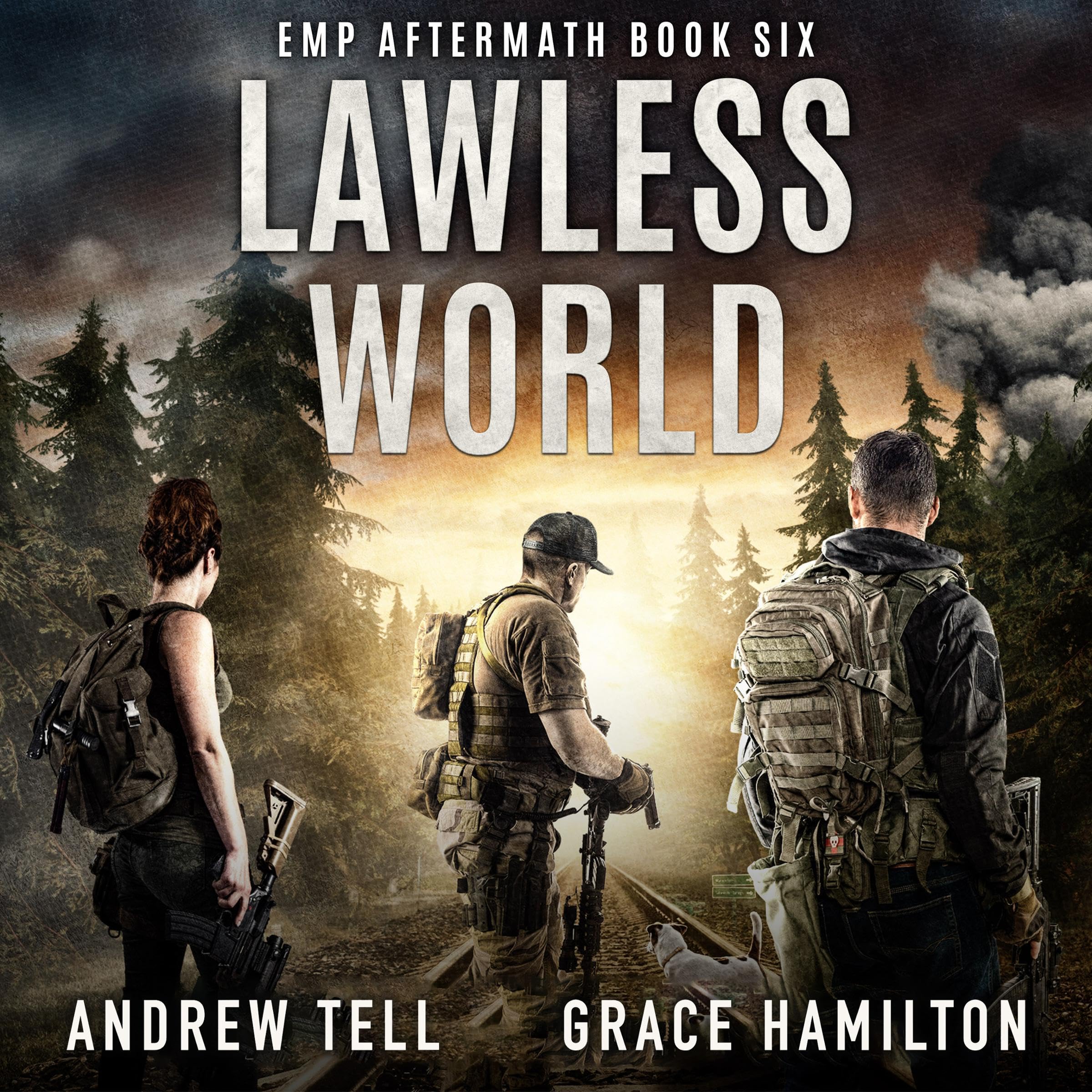 Cover art for Lawless World