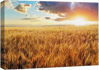 Canvas Prints Wall Art - Beautiful Scenery/Landscape Sunset Over Wheat Field | Modern Home Deoration/Wall Art Giclee Printing Wrapped Canvas Art Ready to Hang - 24" x 36"