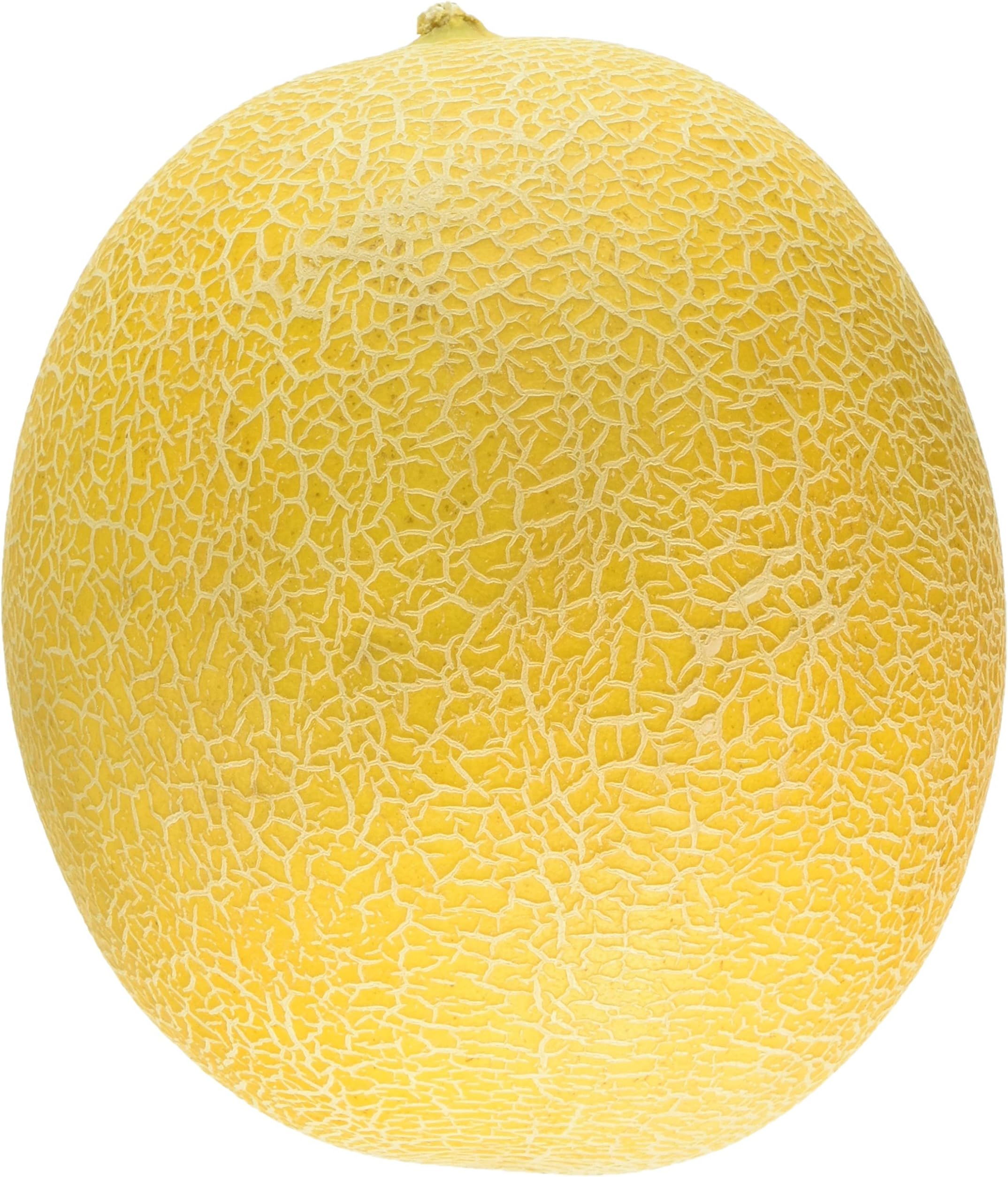 Curious Galia Melon Each