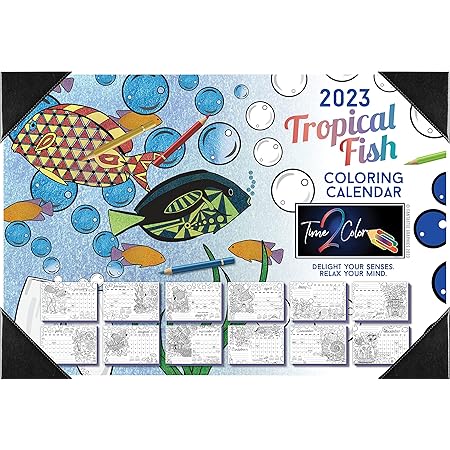 Time2color 2025 Office Edition Desk Blotter/wall Coloring Calendar (22