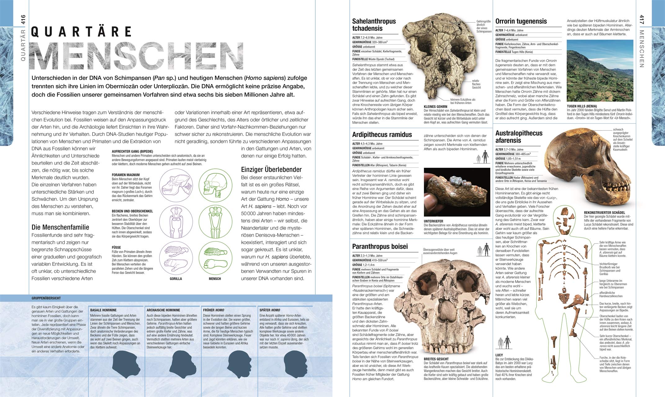 Dinosaurier und andere Lebewesen der Urzeit: Die große Bild-Enzyklopädie mit über 2200 Farbfotografien und 3D-Grafiken