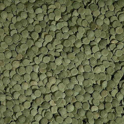 Vista 21 de Obleas de algas de TetraVeggie.