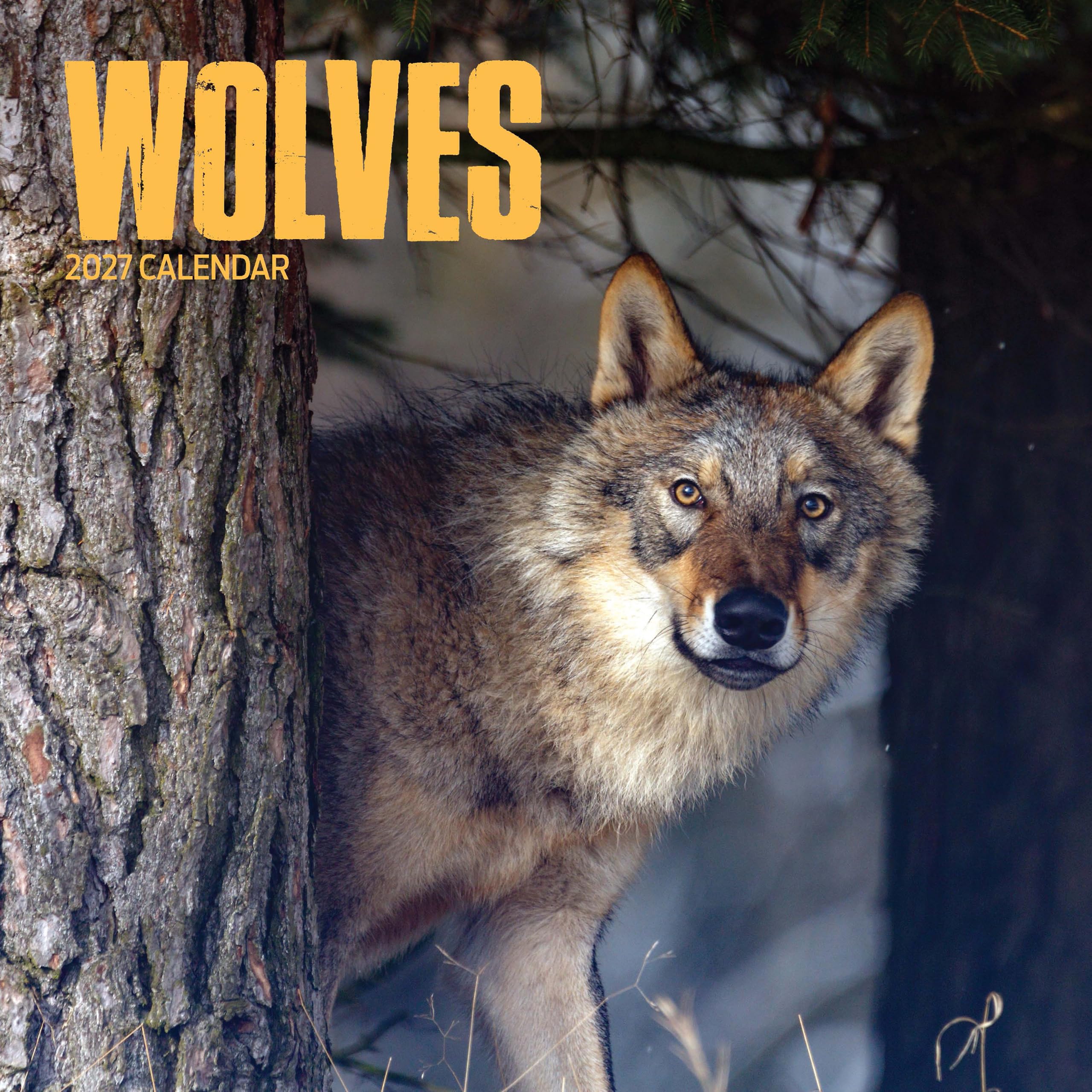 Wolves 2027 Calendar