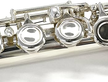 Amazon | Kaerntner フルート 教則本&DVD付き入門セット KFL-28