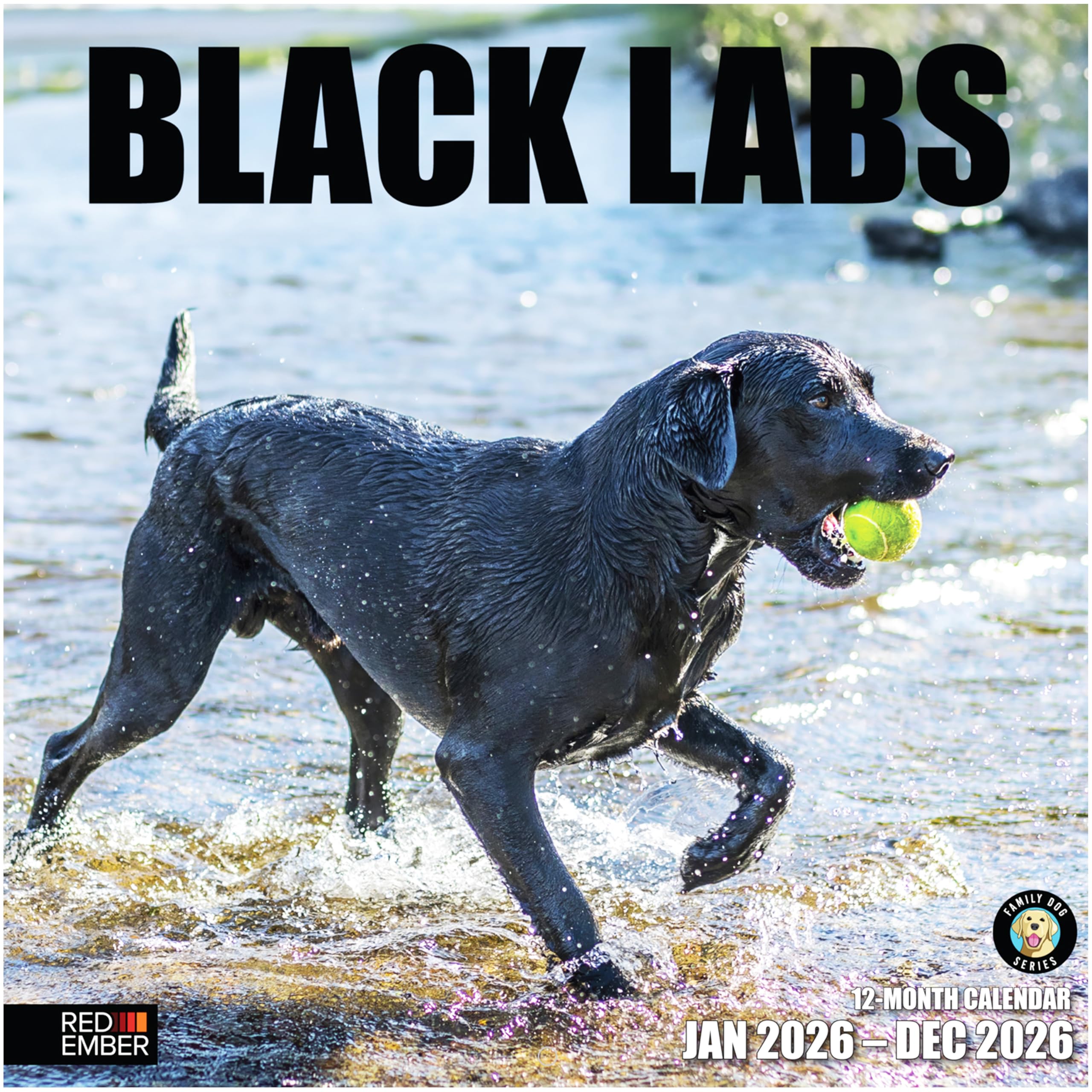 RED EMBER Black Labs 2026 Wall Calendar 12 Month | 12" x 24" Open | Thick &amp; Sturdy Paper | Giftable| Cute Labrador Retriever Puppy Dog Calendar 2026