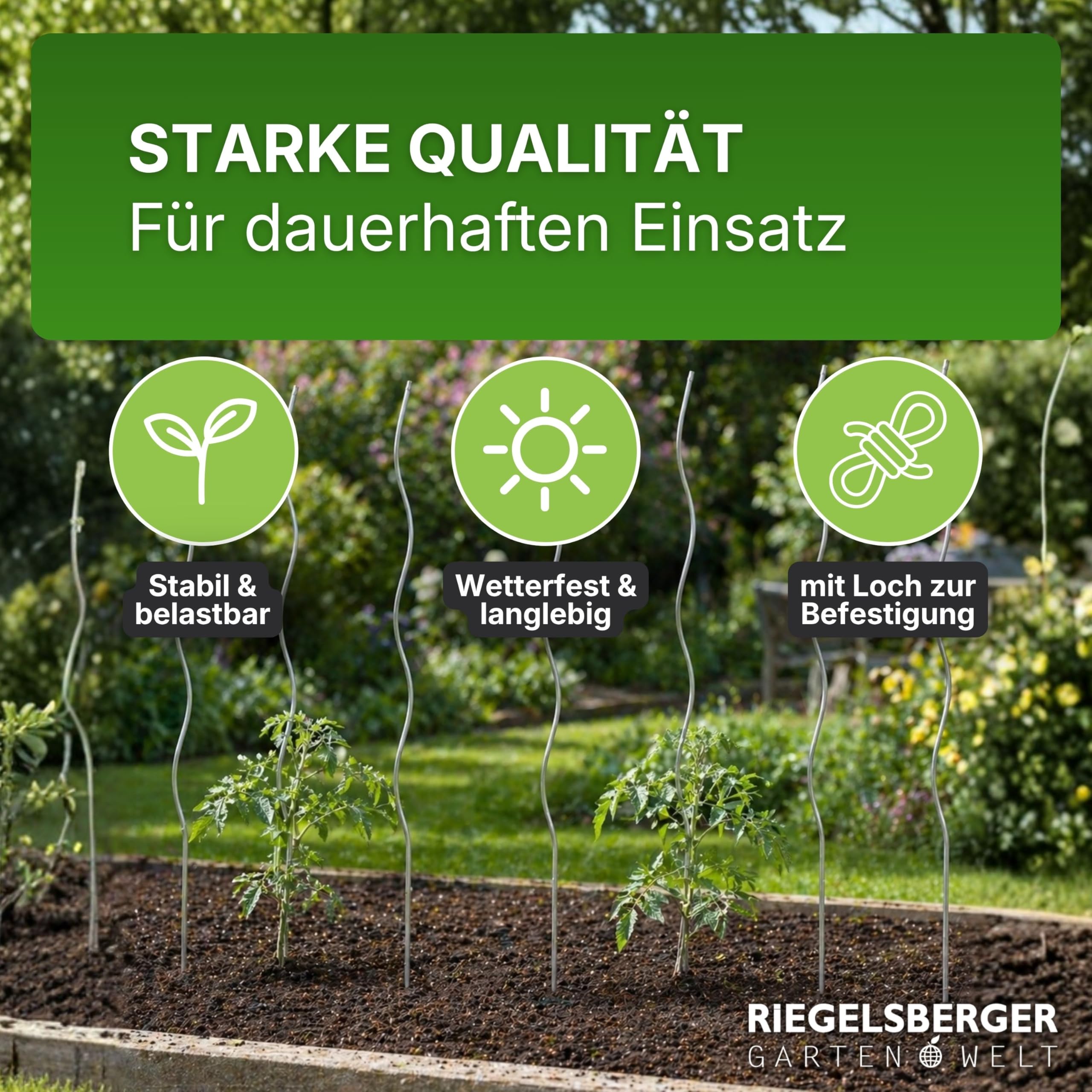 Gartenwelt Riegelsberger Tomatenspirale 180 cm – 20 Stück Tomatenstäbe aus Stahl Ø 5,6 mm, stabile Pflanzenstütze für Tomaten & Kletterpflanzen, wetterfest für Garten & Gewächshaus