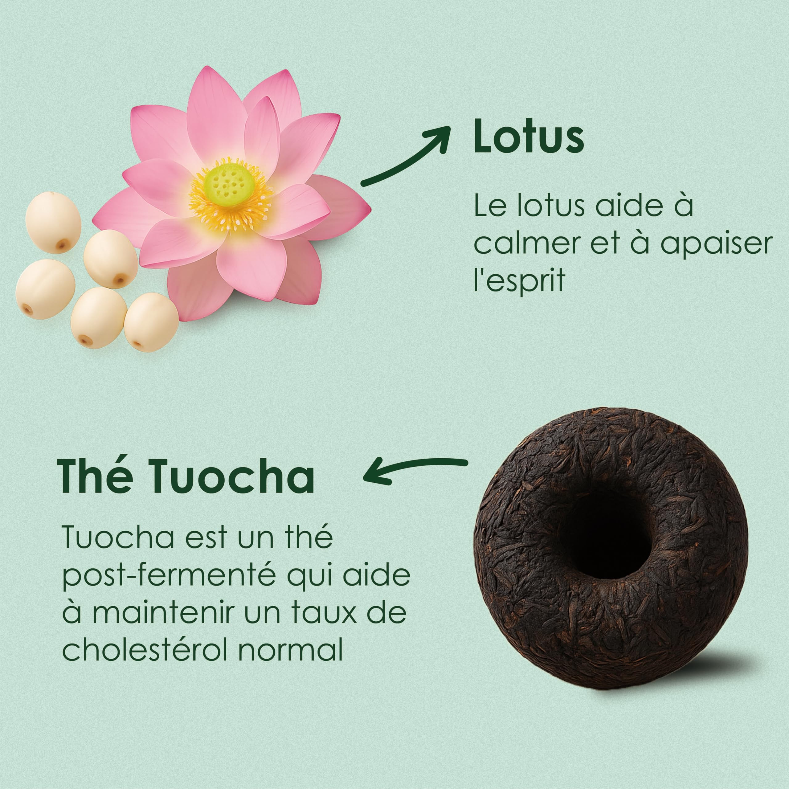 Yunnan Tuocha Zouji - Té Tuocha de Lotus - Orgánico - Calmante y relajante - 200 bolsas (10 x 20) - 400 g - Original Yunnan