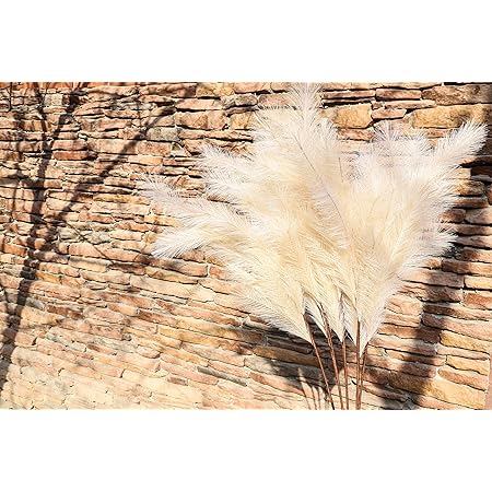 20 Tiges D'herbe De La Pampa Artificielle Noire - 46 Cm, Décoration Bohème Pour Vase Et Mariage