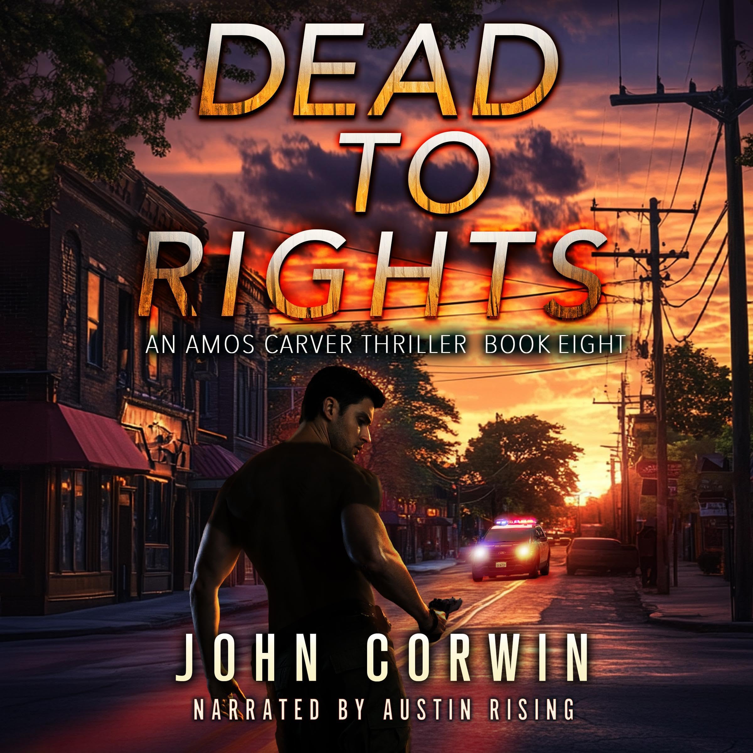 Cover art for Dead to Rights
