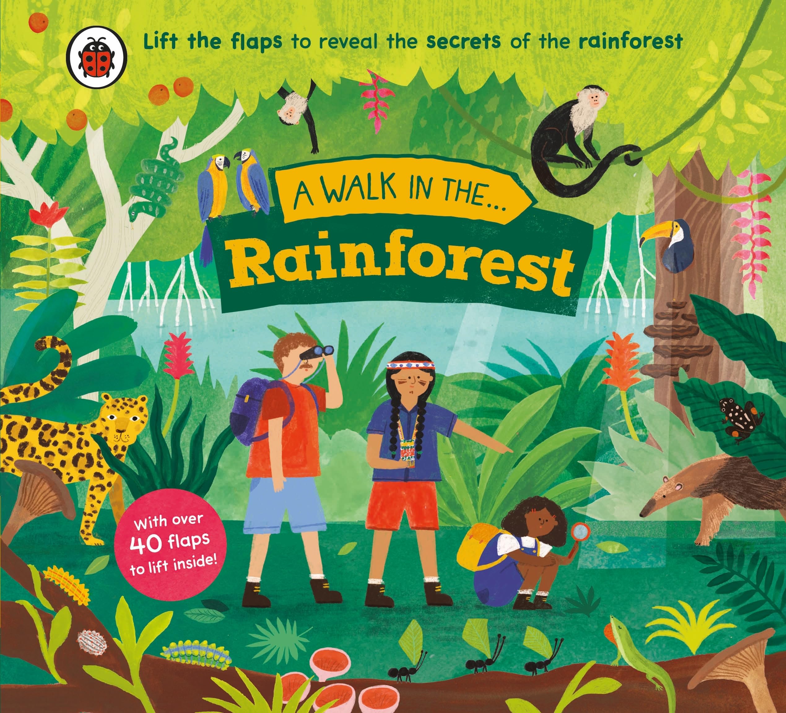 Walk in the Rainforest by Ladybird (Board book)