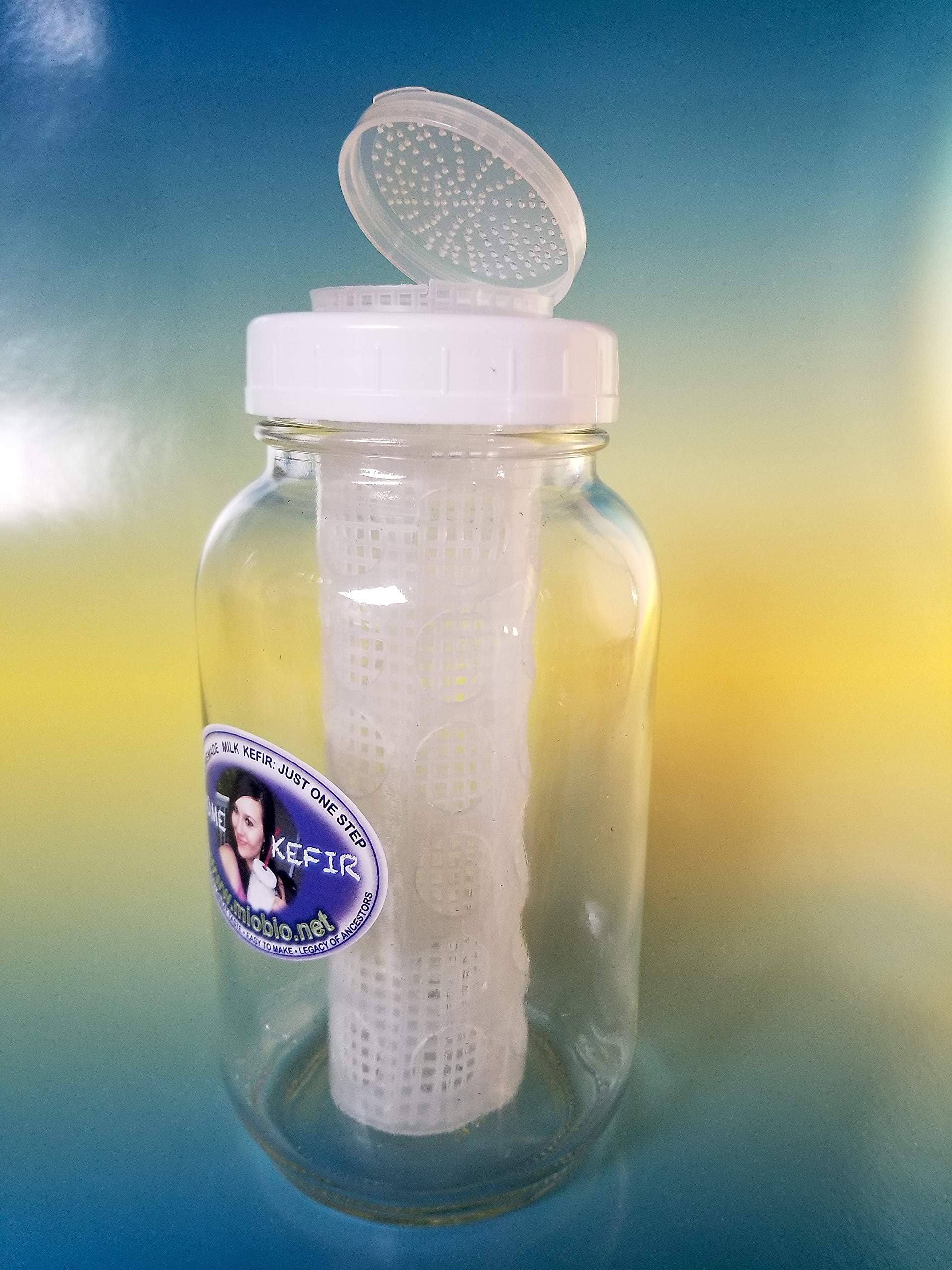 Kefir Fermenter - Infuser 0.6L/20oz for Rapid Homemade Kefir: Milk or Water