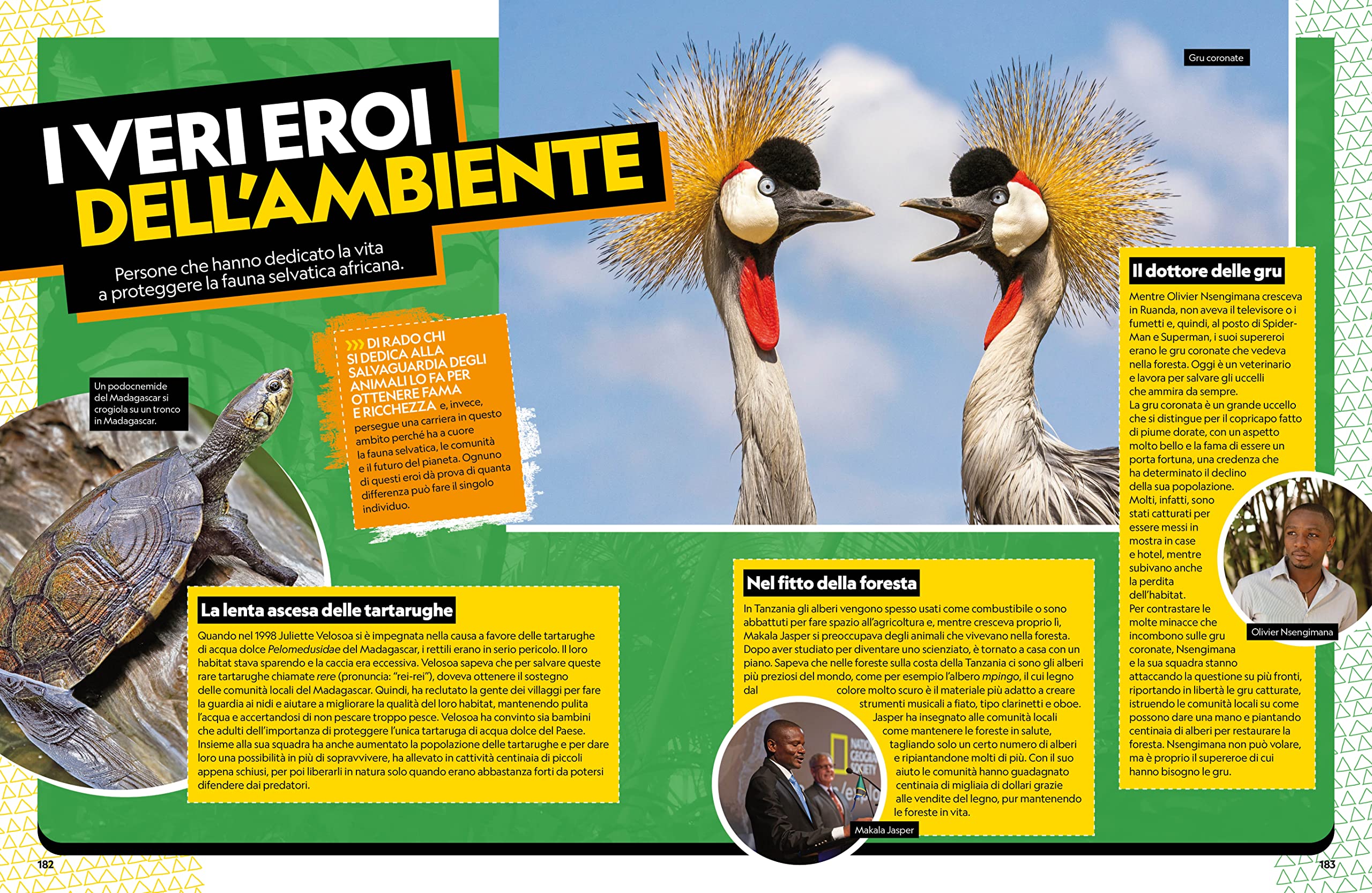 Il grande libro degli animali dell'Africa. Ediz. a colori