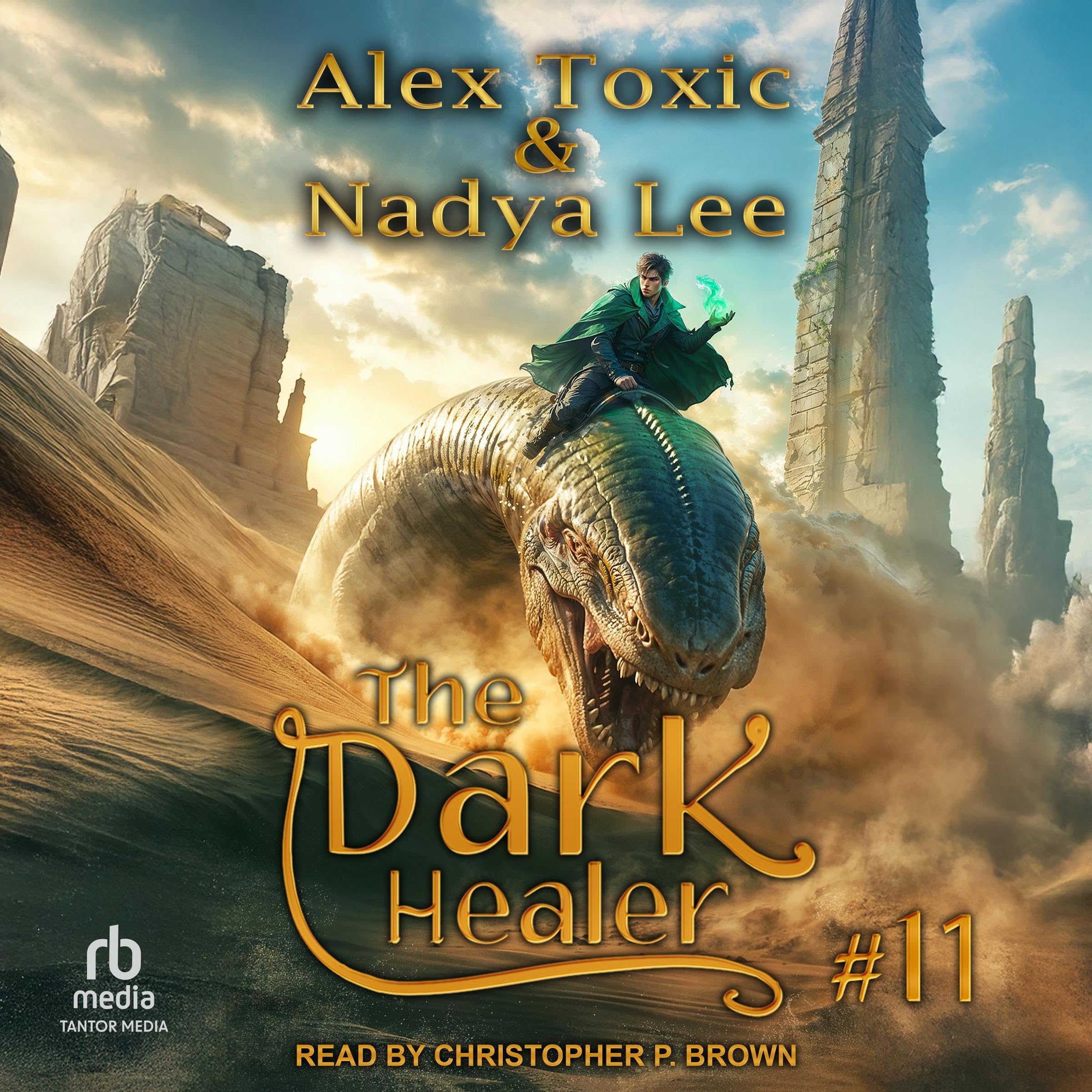 Cover art for The Dark Healer: Book 11
