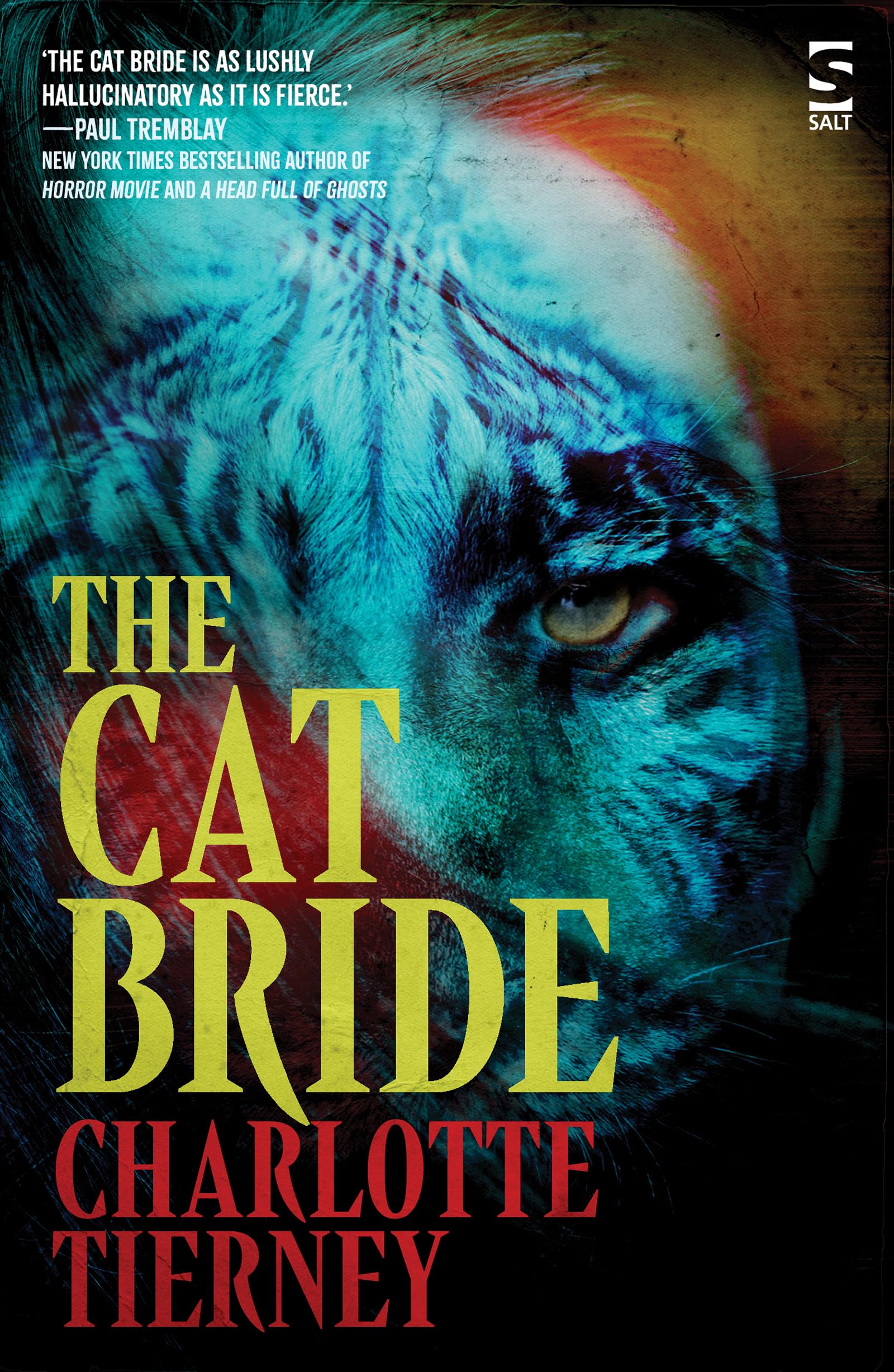 The Cat Bride by Charlotte Tierney - 9781784633622