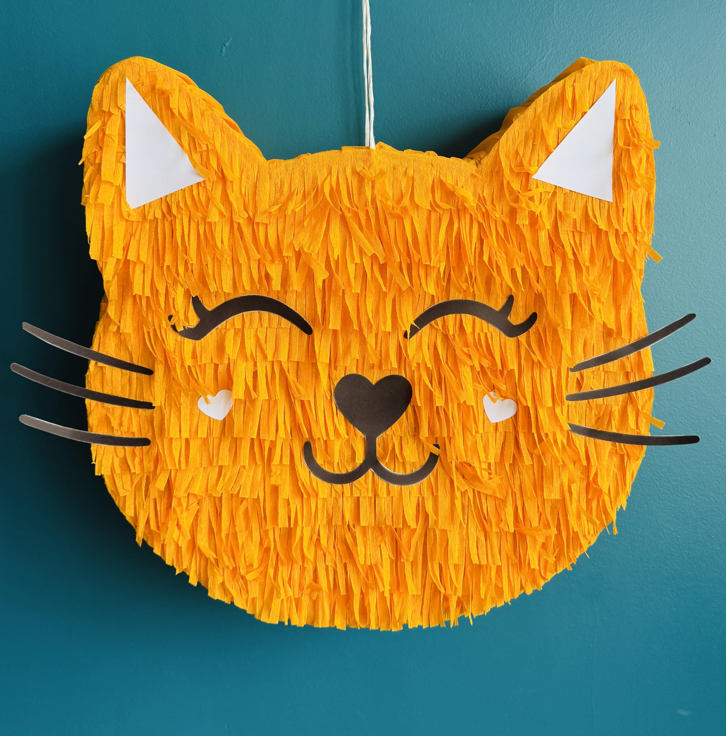 Handmade Cat piñata