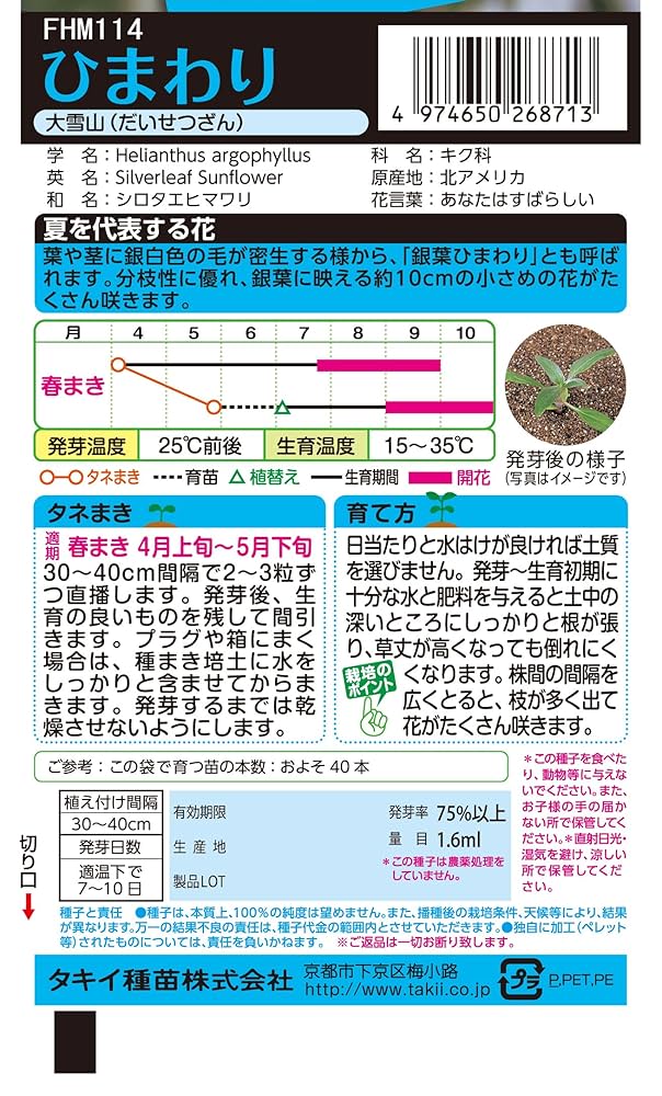 ゆきひまわりページ ひまわりの時計 – TOYHOF倉敷