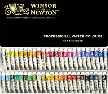 新品プロフェッショナル　ウィンザー&ニュートン　透明水彩絵の具　固形12色セット ウィンザー＆ニュートン】ウィンザー＆ニュートン