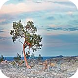 Collection of best wallpapers and backgrounds images.