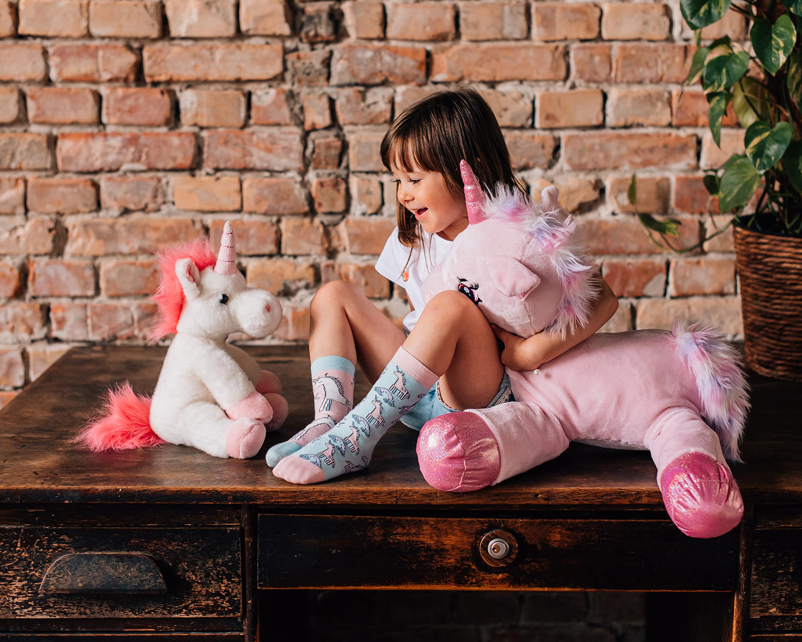 Dedoles Calzini Unisex Donna Uomo & Bambini Calze Cotone con tanti Design divertenti Calcio Bicicletta Piante Cavalli Regalo sinistra destra diversi