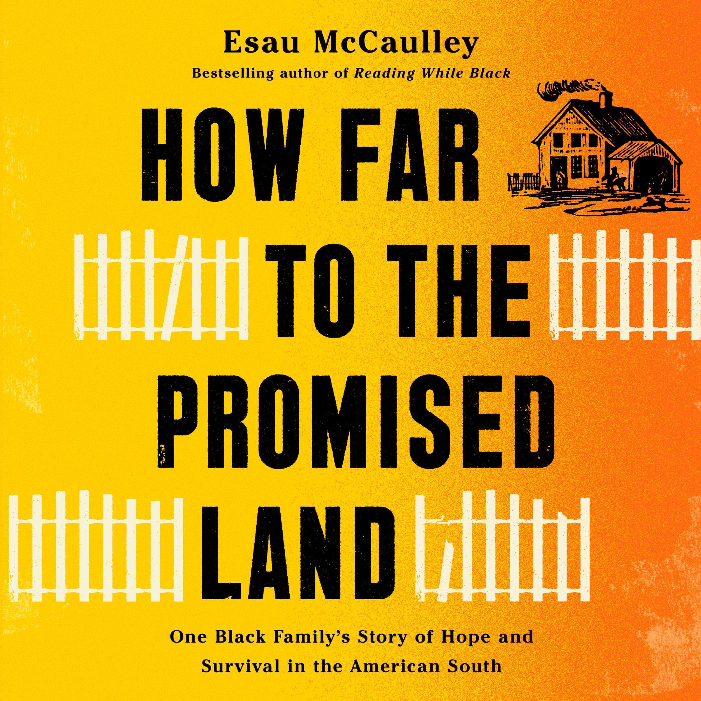 Cover art for How Far to the Promised Land