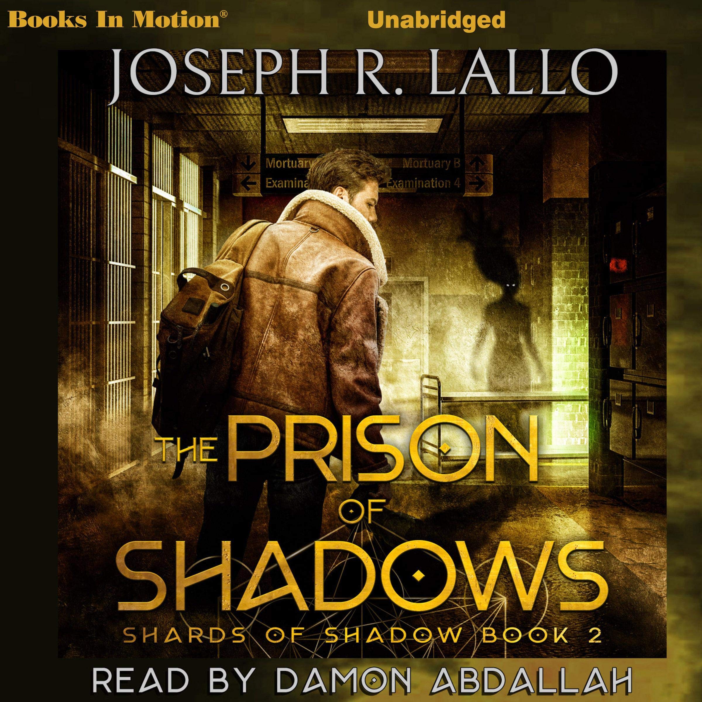 Cover art for The Prison of Shadows
