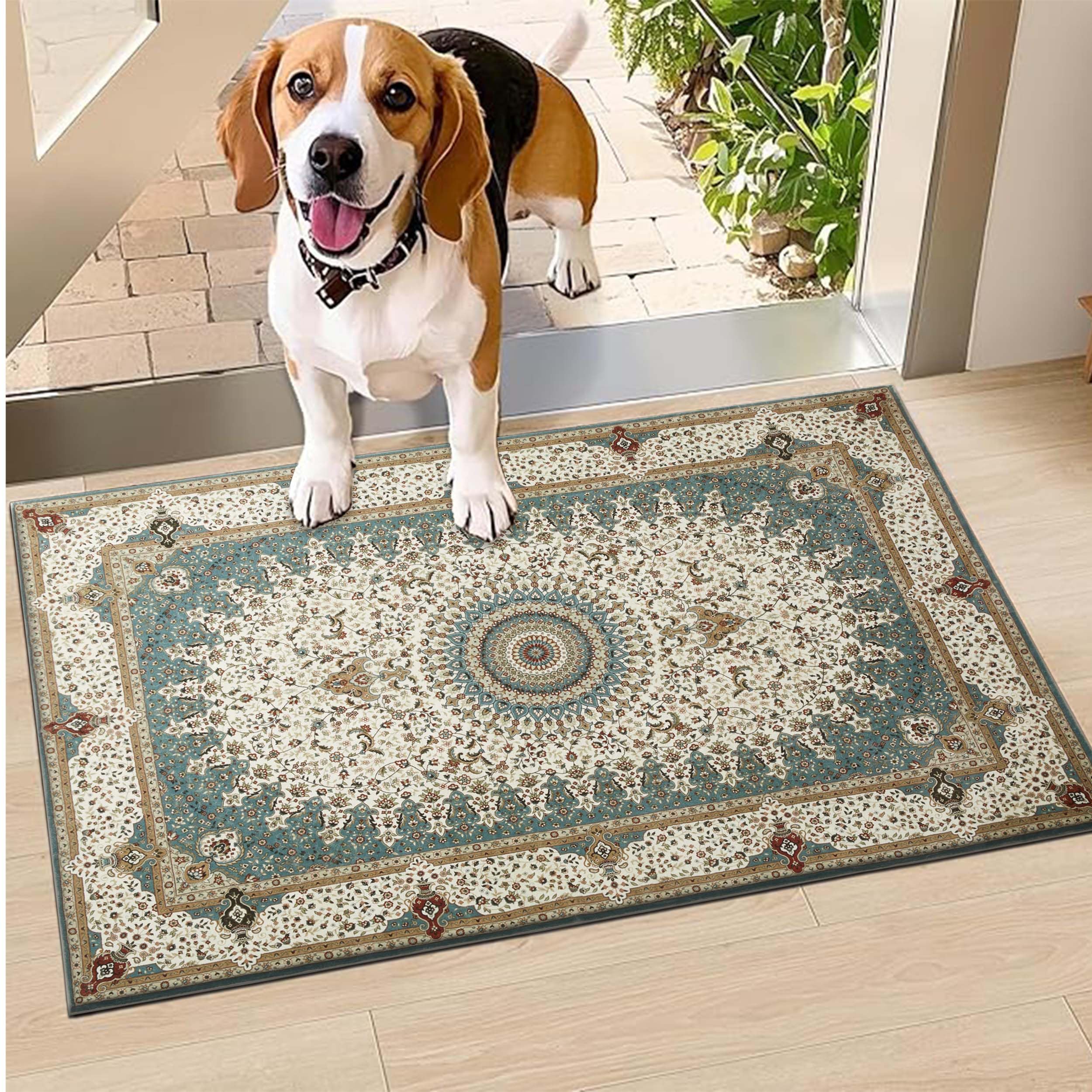 Hafaa Door Mat 40 x 60 cm – Willow Machine Washable Mat Super Soft Non Slip Doormat Indoor Outdoor Water Absorbent Floor Mats Heavy Duty Entrance Rug