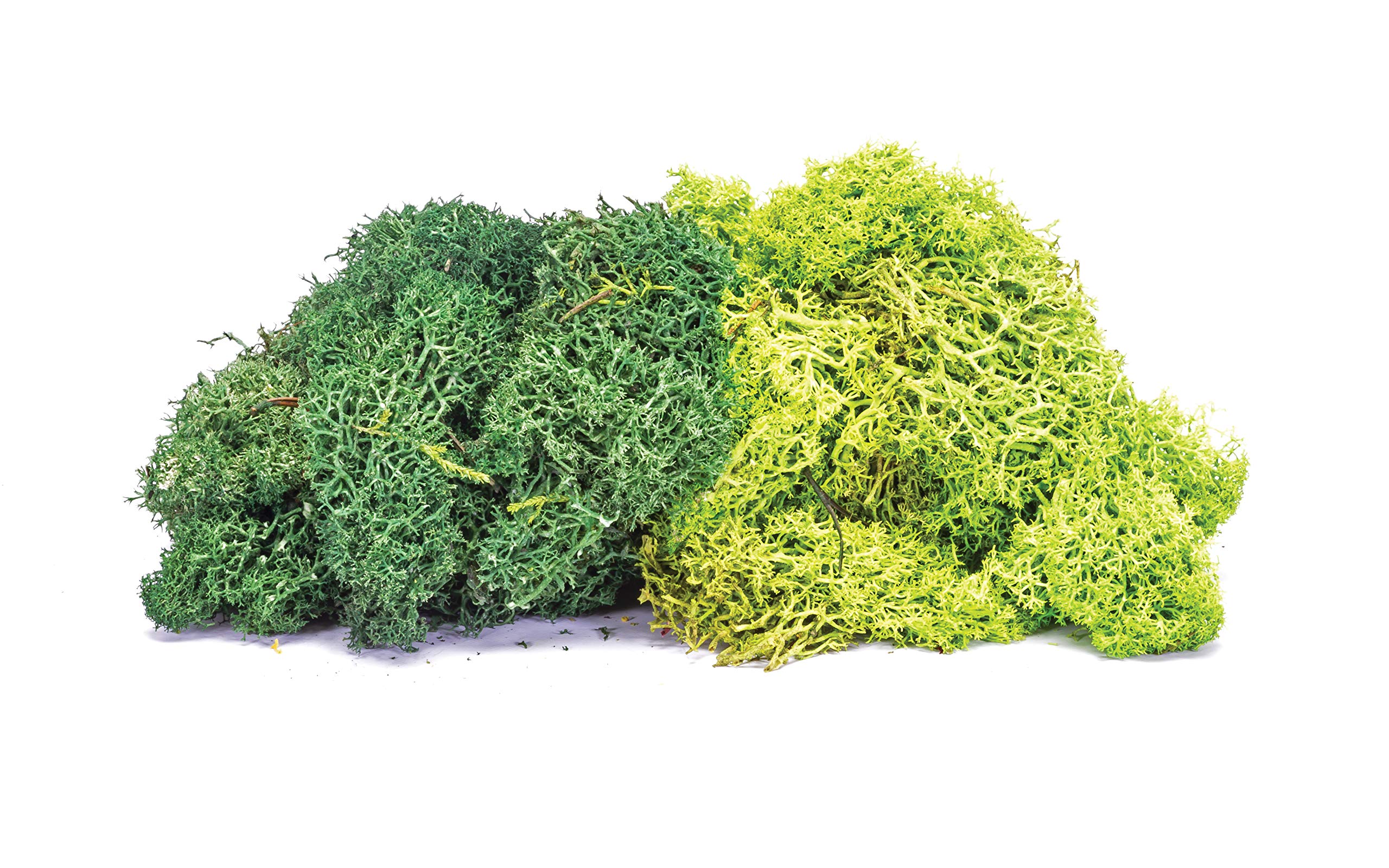 Hornby Skale Scenics R7195 Lichen Dark Green 75g - OO/HO - New