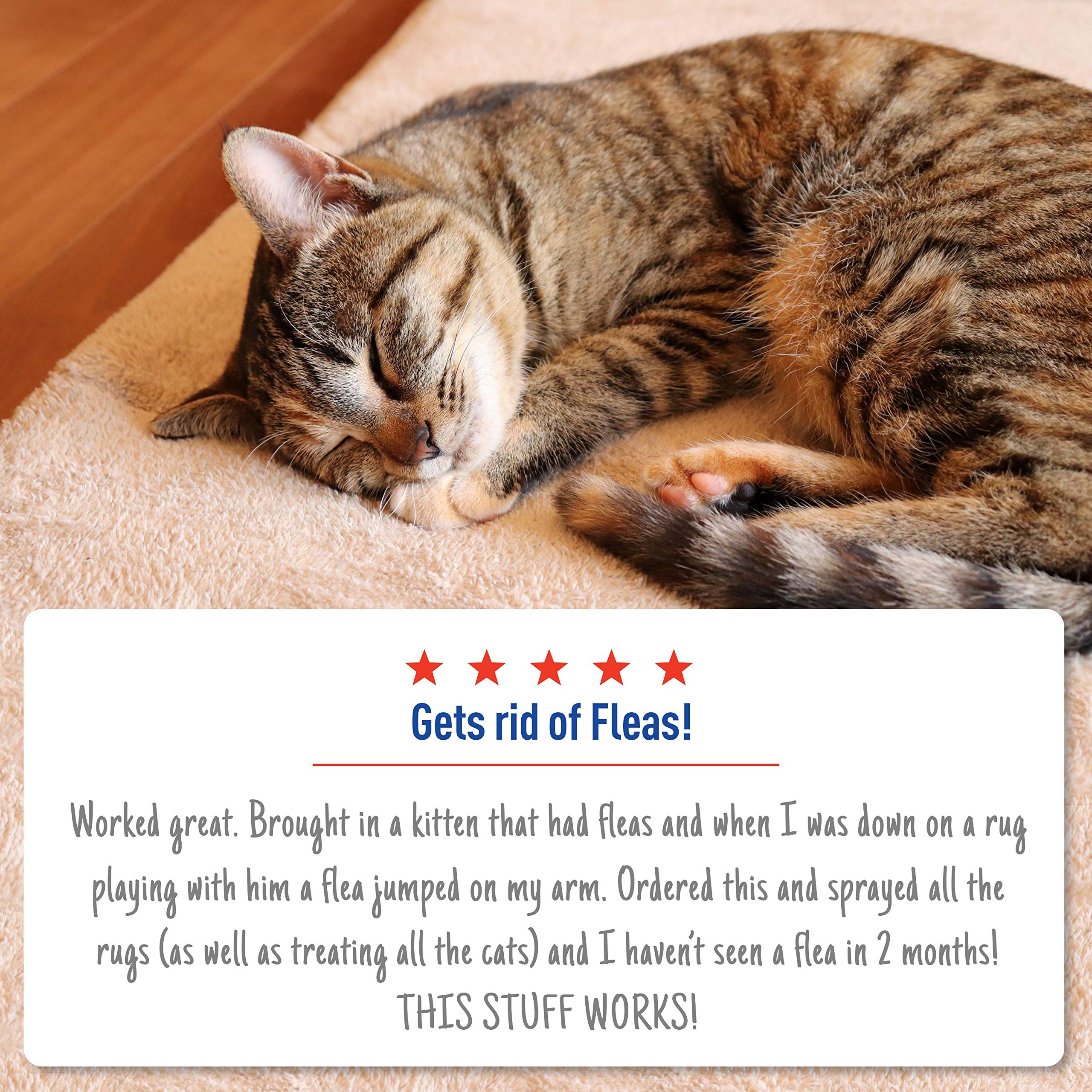 Buy Adams Flea & Tick Home Spray, Kills Fleas, Flea Eggs, Flea Larvae