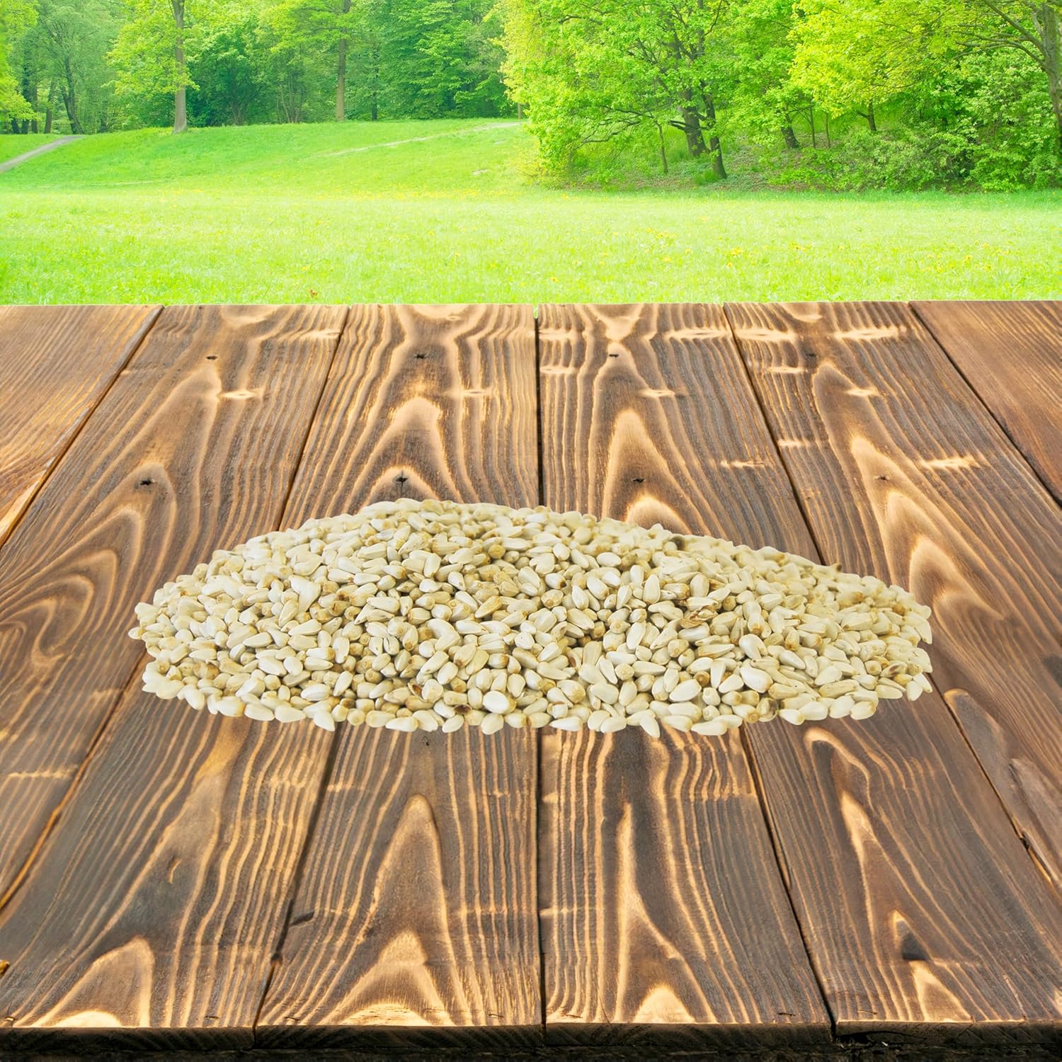 BestNest Safflower Seed Bird Food, 5 lbs – Premium Wild Bird Seed for Outdoor Feeders, High-Protein & High-Fat Alternative to Sunflower Seed, Ideal for Cardinals, Doves, Chickadees & Songbirds