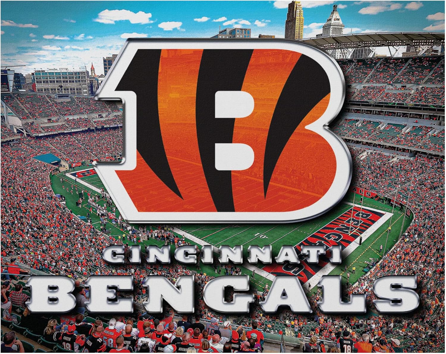 FOCO Unisex NFL Team Logo Canvas Wall Sign