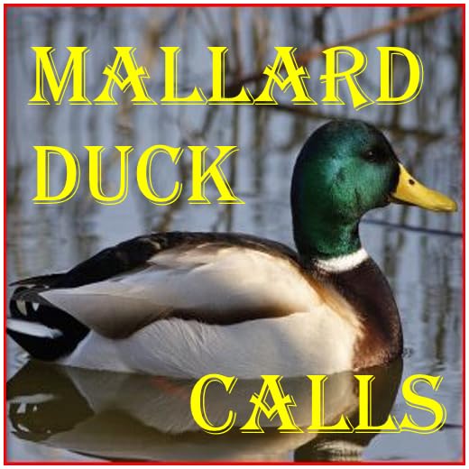 Mallard Duck Calls