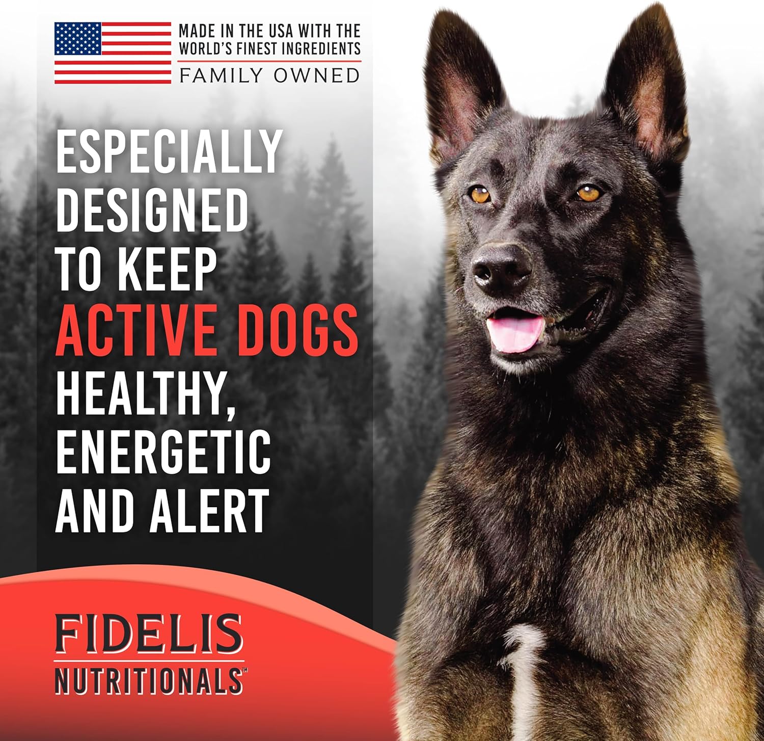 FIDELIS Freeze Dried Raw Dry Dog Food for Small, Medium, Large Dogs, High Protein, Beef, Blueberries, Superfoods, Omega 3, Grain Free, Kibble-Alternative, Adult & Puppy, Made in USA, Beef, 2 lbs