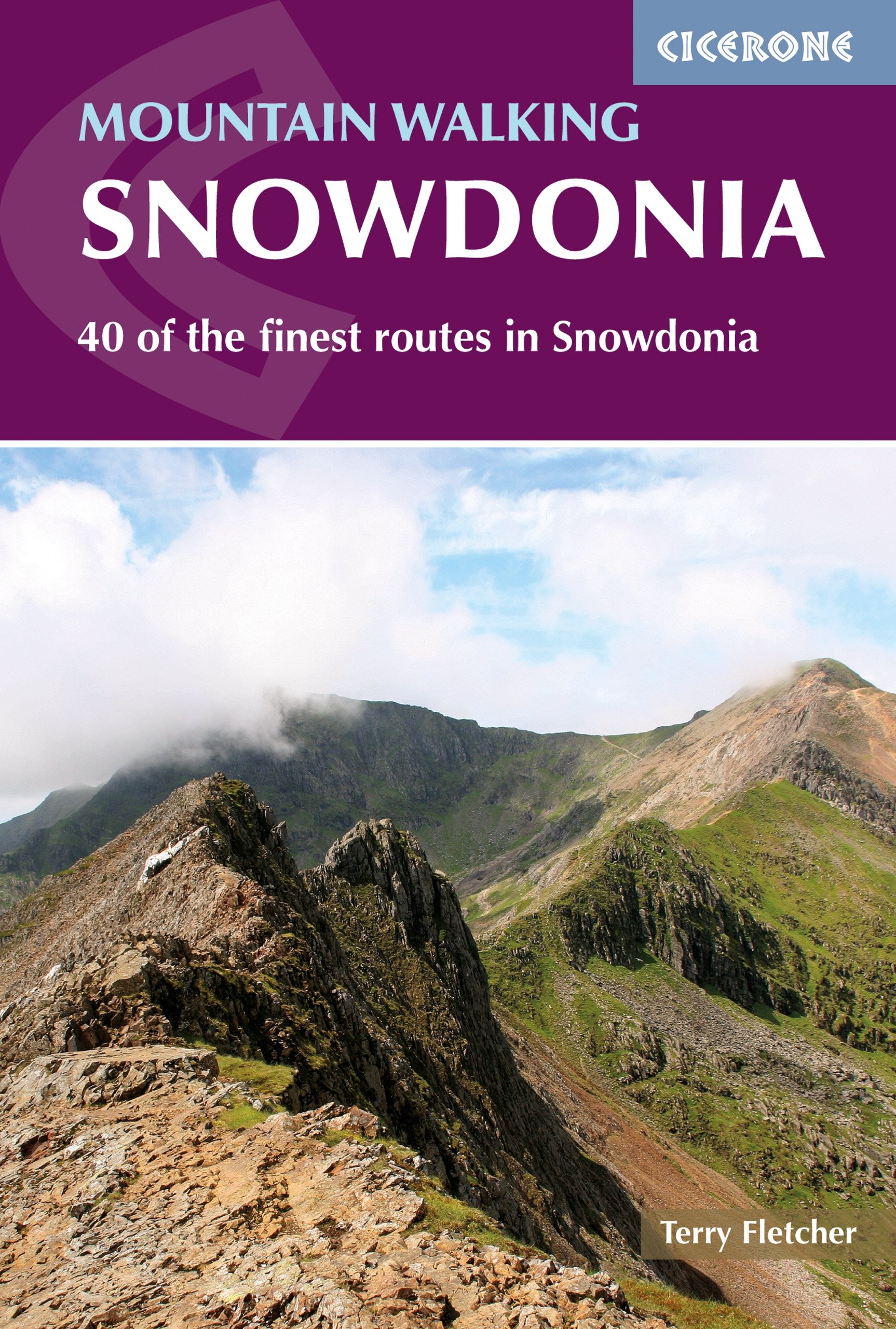Mountain Walking in Snowdonia: 40 of the finest routes in Snowdonia (Cicerone Walking Guides)