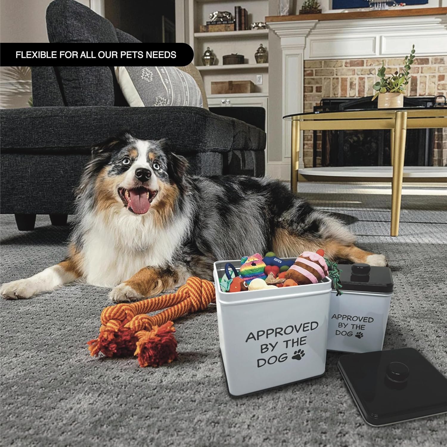 2pc Set Square Storage Dog Tin Container for Treats, Food, Storage, Supplies, Toys (Approved by the Dog)