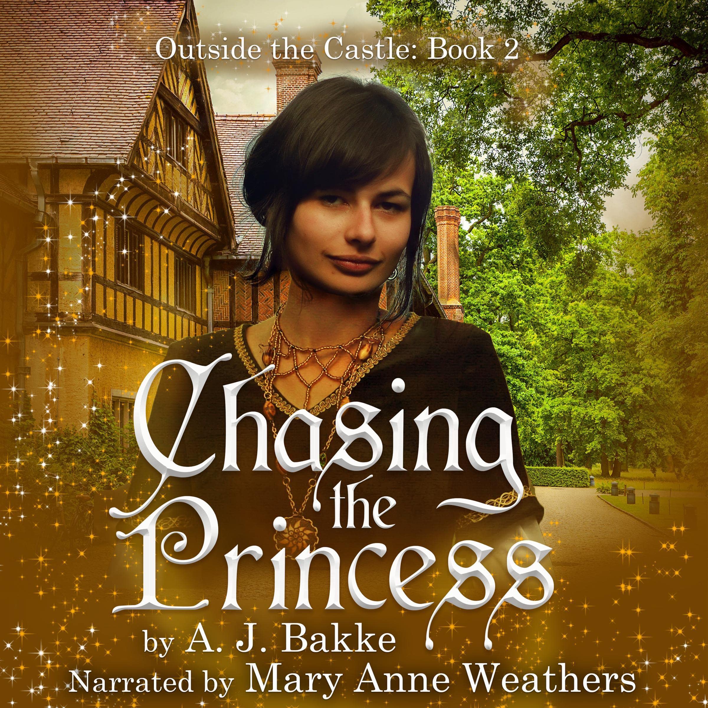 Cover art for Chasing the Princess