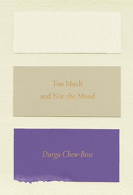 Portada de Too Much And Not The Mood: Essays