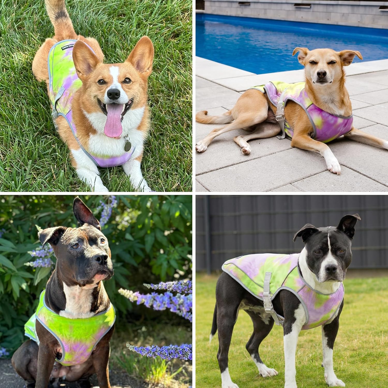 Spark Paws Dog Cooling Vest - SPF 50 UV Sun Protection - Summer Heat Relief Gear for Dogs, Lightweight, Evaporative Cooling - Dog Anxiety Relief Vest During Hot Days - Neon Purple - Size L