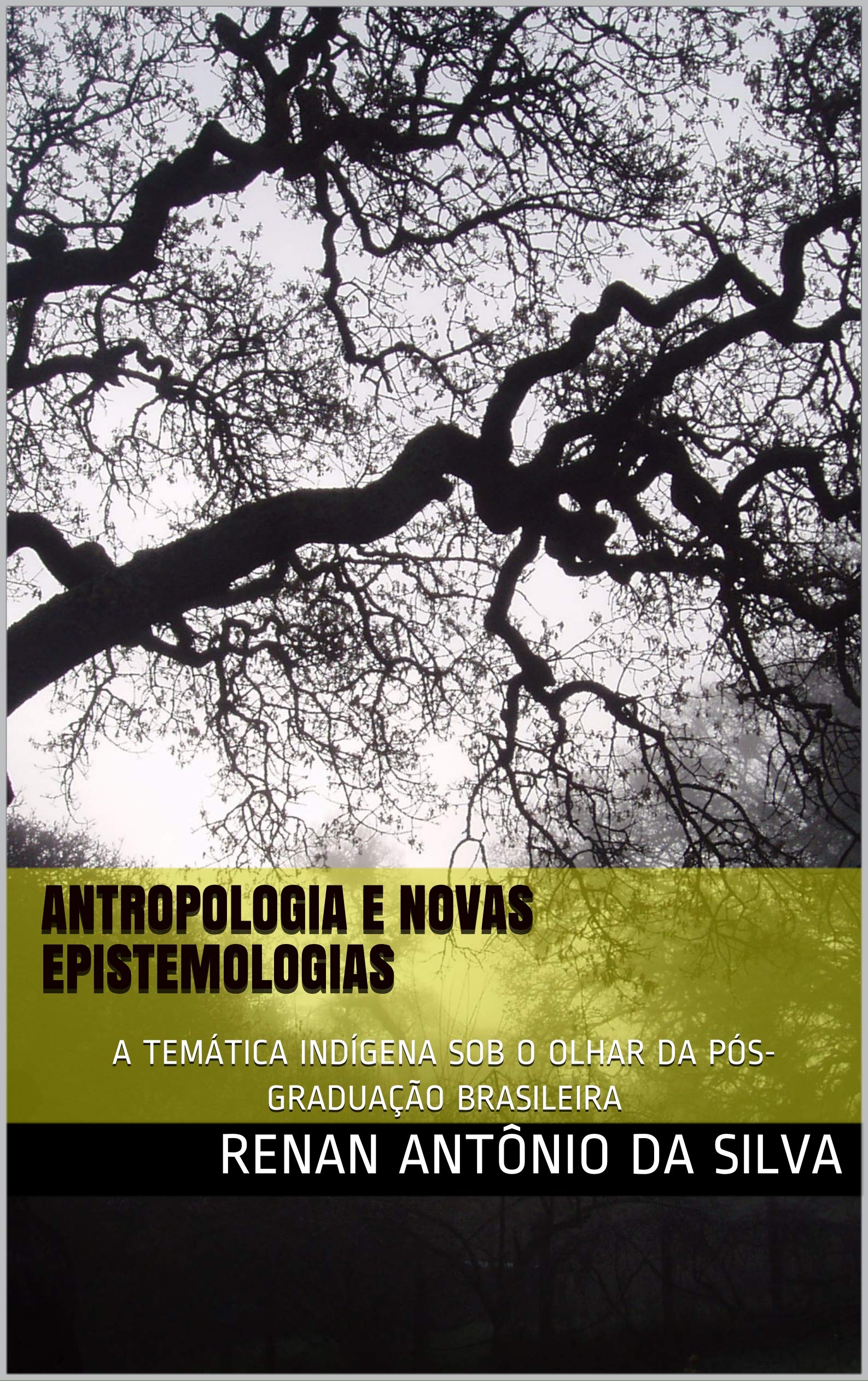 ANTROPOLOGIA E NOVAS EPISTEMOLOGIAS: A TEMÁTICA INDÍGENA SOB O OLHAR DA PÓS-GRADUAÇÃO BRASILEIRA (1) (Portuguese Edition)