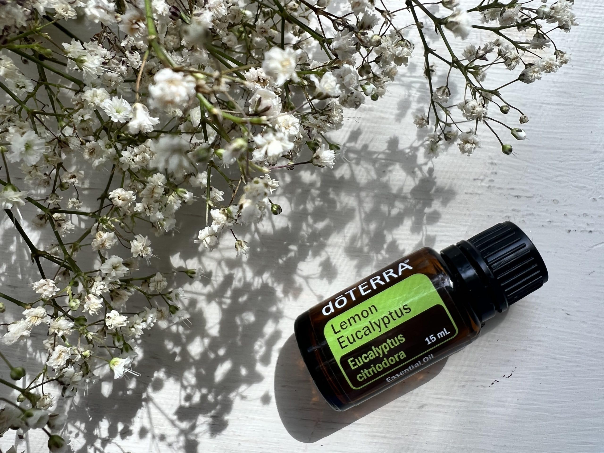 Óleo Essencial Lemon Eucalyptus do Terra-15 ml : Amazon.com.br