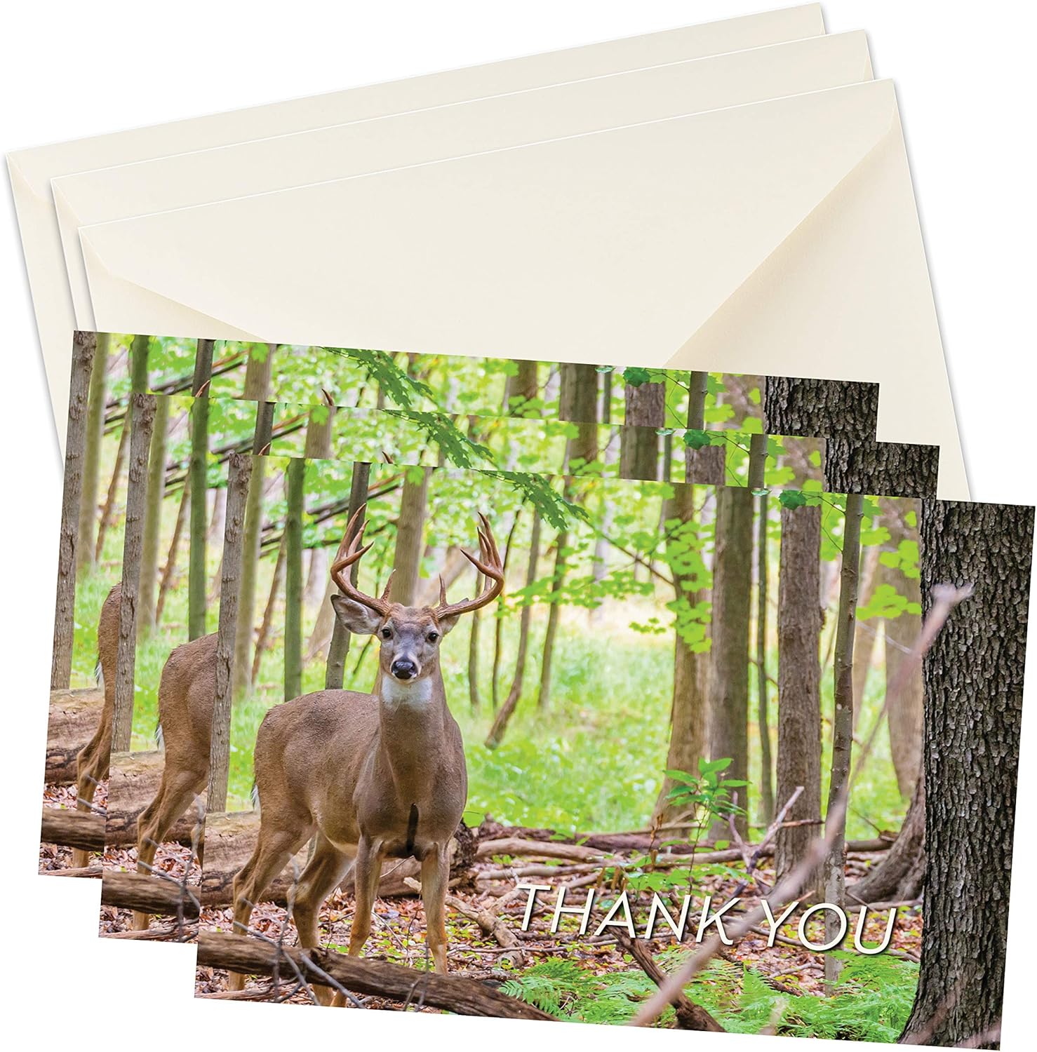 MPC Brands Funeral Sympathy Bereavement Thank You Cards With Envelopes - Message Inside (Deer Forest, 50)