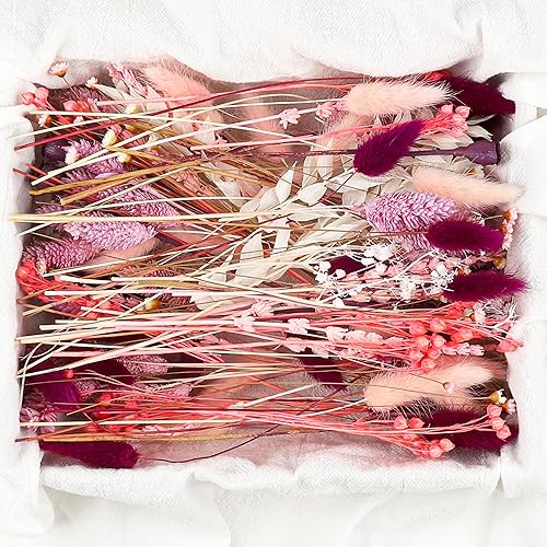 RumonZS DIY Natural Real Dried Flowers Kit for Crafts Mini Dried Florals with Stems Bouquets for Vase Candle Making Resin Jewelry Nail Pendant Cards Scrapbooking Floral Arrangement Handcraft (Pink) - Pink