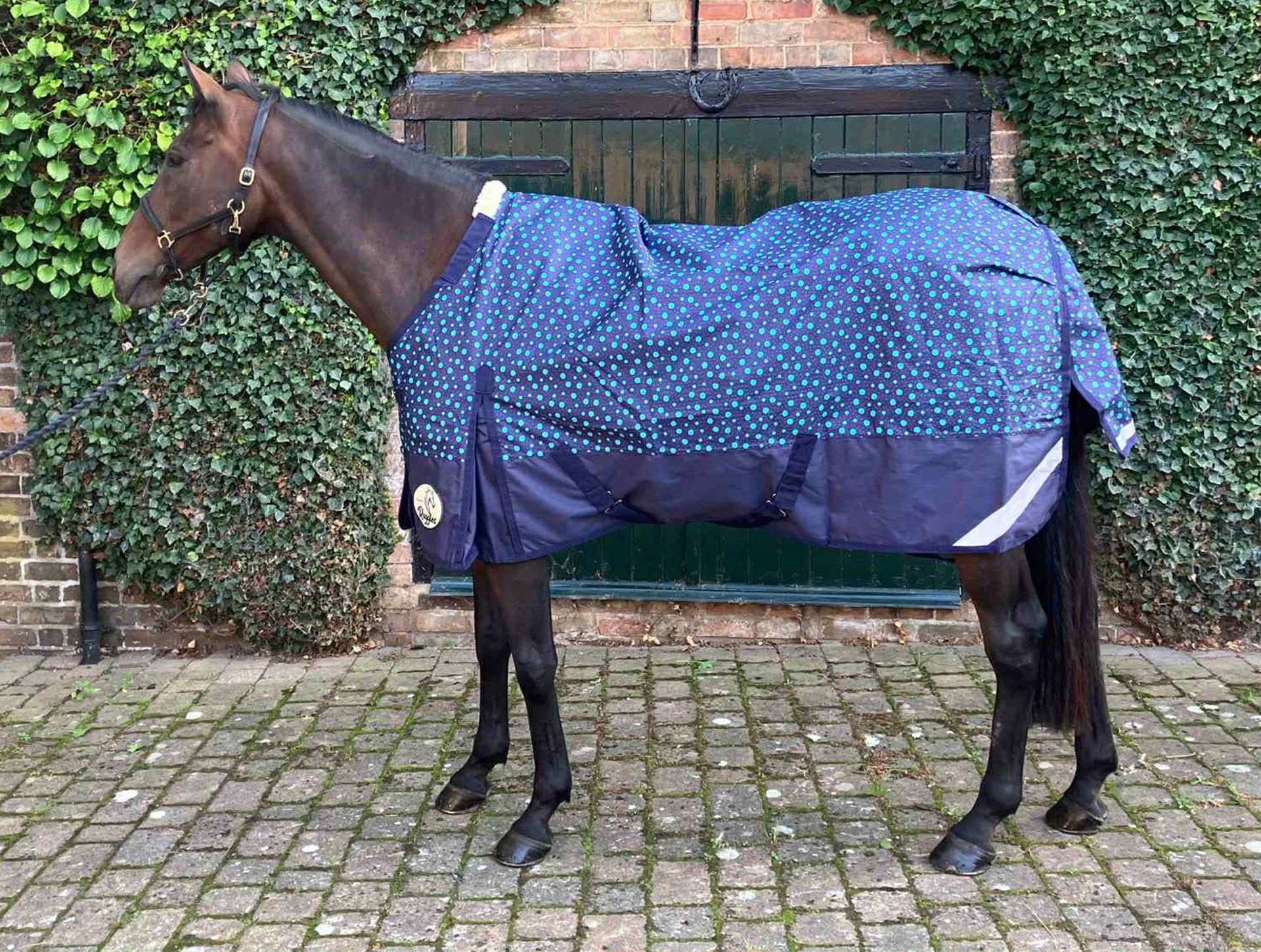 Ruggles Lightweight No Fill Turnout Rug for Horse and Pony | Waterproof and Breathable | Durable 1200D Teflon Coated Outer | Ideal for Warmer Showery Days | 5'-7' (Aqua Spots, 6')