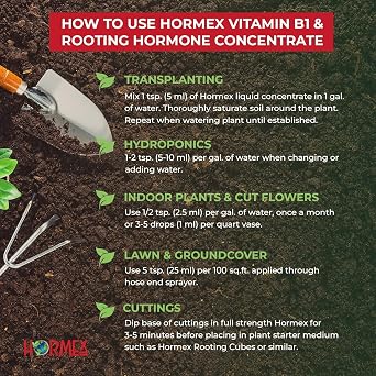 Hormex Rooting Powder #1 & Vitamin B1 Hormone Concentrate Combo - Root Stimulator for Softwood Cuttings & Liquid - Perfect for Hydroponics, House Plants, Gardens, Fruits & Vegetables, 21g & 8oz